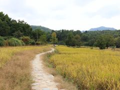 -塔川景区