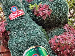 -青岛啤酒博物馆