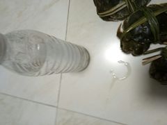 -七的湖·晚芳亭·阳澄湖农家菜·大闸蟹(莲花岛店)