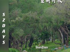 -人民公园(罗湖区)