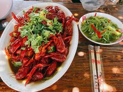 -同銮特种养殖场·龙虾垂钓