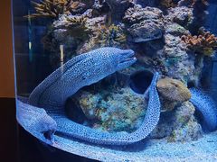 -乌鲁木齐海洋馆