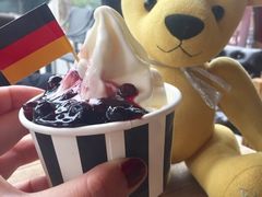蓝莓酱-JW德国冻酸奶Frozen Yogurt(龙湖成都滨江天街店)