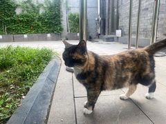 -北京鲁迅博物馆(北京新文化运动纪念馆鲁博馆区)
