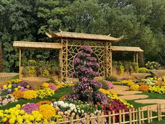 -上海共青森林公园