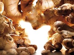 生姜-永兴食杂店烘焙坊(新年蛋糕店)