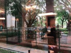 -清远恒大酒店·寻味清远