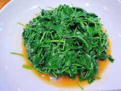 -沪上馨和小馆•海派上海菜(陆家浜路店)