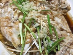 -福来齐·鲁菜海鲜·渔家菜(朝阳街分店)
