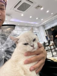 -镁连社·美联社