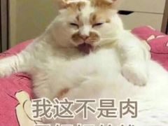 -小饕荟养生火锅(仁和·熙春郡店)