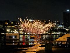 -欢乐海岸水秀剧场