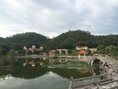 -红山村
