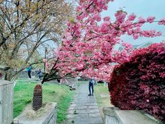 -南京城墙景区