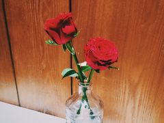 -月下料理(楷林IFC店)