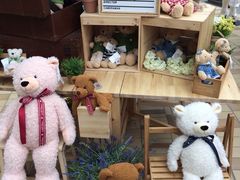 -济州岛泰迪熊博物馆