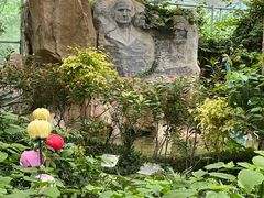 -南宫五洲植物乐园