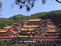 -东莞市大岭山森林公园