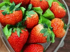 -拌来拌去石鍋拌飯(文鼎店)