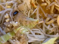 -拉面莊夢語＆中华料理八椿