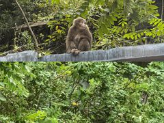 -西岭雪山大飞水景区