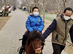 -1982农场