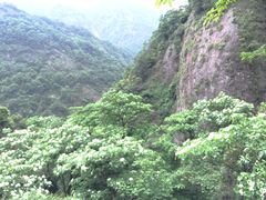 -雁荡山三折瀑景区