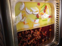 -九鼎轩脆毛肚火锅(三钢里店)