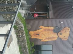 android_upload_pic-济州岛泰迪熊博物馆