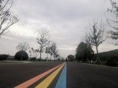 -羊山湖公园