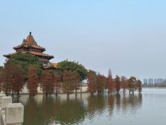 -顺峰山公园