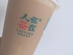 豆乳布丁红茶-人在茶在(华南店)