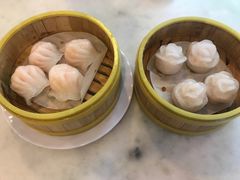-芽庄中心购物广场