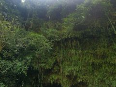 -海口火山口国家地质公园