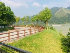 -羚羊峡古栈道森林公园