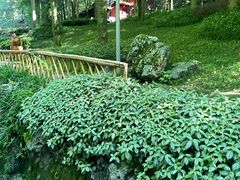 -青城山
