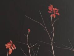 -金鸡山公园