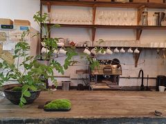 -植觉