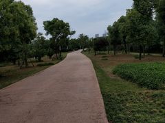 -盘龙城国家考古遗址公园