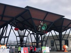 -上海长兴岛郊野公园