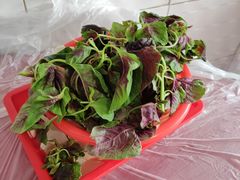 -扎佐老牌蹄膀·猪脚