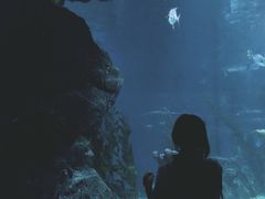 -暹罗海洋世界