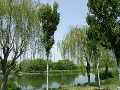 -石家庄市植物园