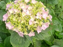 -西湖风景区-江洋畈生态公园