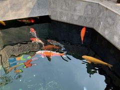 -西安市广仁寺
