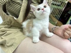 -唐小姐の猫狗洗护·购宠旗舰店(周浦万达店)
