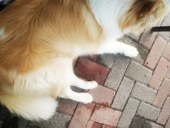 -豆舞咖啡(民乐路店)