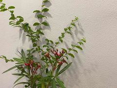 -素禅棋牌会所(海阳路店)