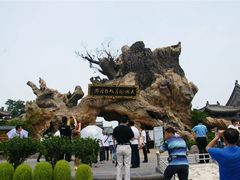 -大槐树寻根祭祖园