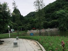 -龙头山森林公园·停车场